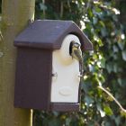 Vivara Pro Woodstone Seville Nest Box Oval