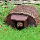 Hedgehog Haus Nest Box