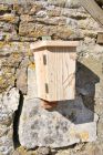 Double Chamber Wooden Bat Box