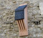 Vincent Pro Bat Box
