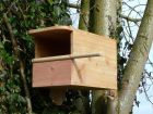 Wooden Kestrel Box
