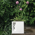 Green&Blue BeePot Planter & Bee House - Mini