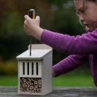 Class Bug Box Making Kit - Single Kit