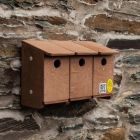 Sparrow Terrace Plywood Nest Box