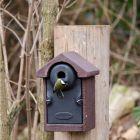 Bilbao Nest Box