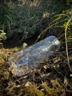 Newt Trap Bottle - Cut