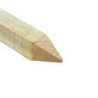 Wooden Newt Fencing Stake - 1200 x 45 x 45mm