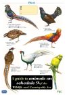 FSC Animals on Schedule 9 of the Wildlife & Countryside Act