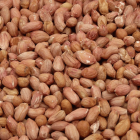 Premium Whole Peanuts