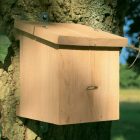 Timber Dormouse Box