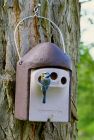 Schwegler 2GR Nest Box - 3 x 27 mm