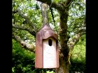 Schwegler 2M Nest Box Oval