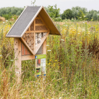 Bee & Insect Hotel - XXL