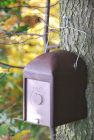 Schwegler KS Nest Box for European Dormice