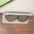 Woodstone House Martin Nest Box Cups