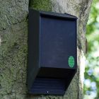 Wildcare Eco Bat Box - 2 Internal Crevices