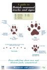 FSC Guide to British Mammal Tracks & Signs