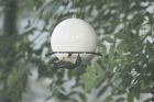 Green&Blue Birdball Peanut Feeder