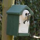 Vivara Pro Woodstone Seville Bird Nest Box - 32 mm 