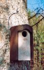 Schwegler 3S Starling Nest Box