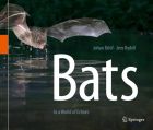 Bats, In a World of Echoes