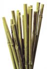 Bamboo Cane - 1200mm