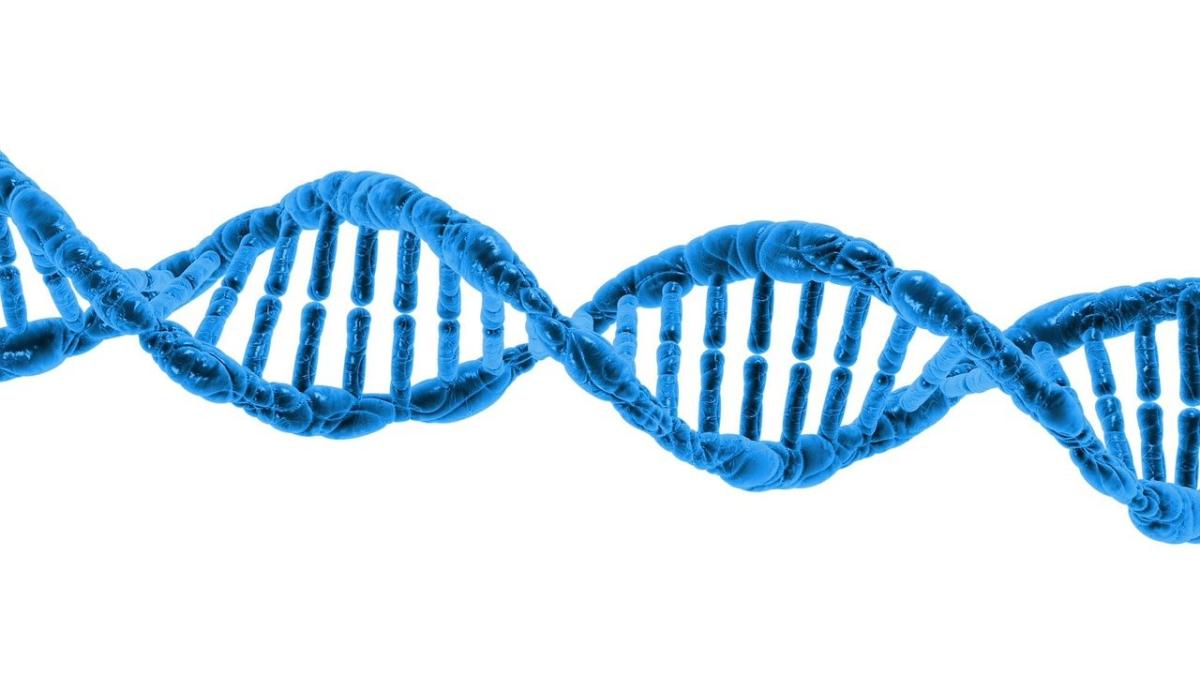 Notes on Ecology: Genomes of Animals and Plants - GAP2021
