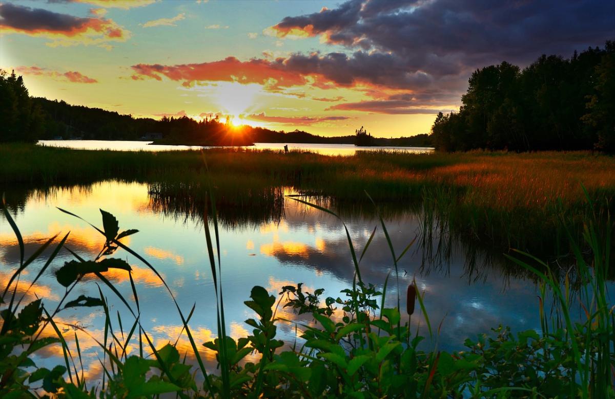 Notes On Ecology: New Frontiers in Soundscape Ecology - Wildlife Acoustics
