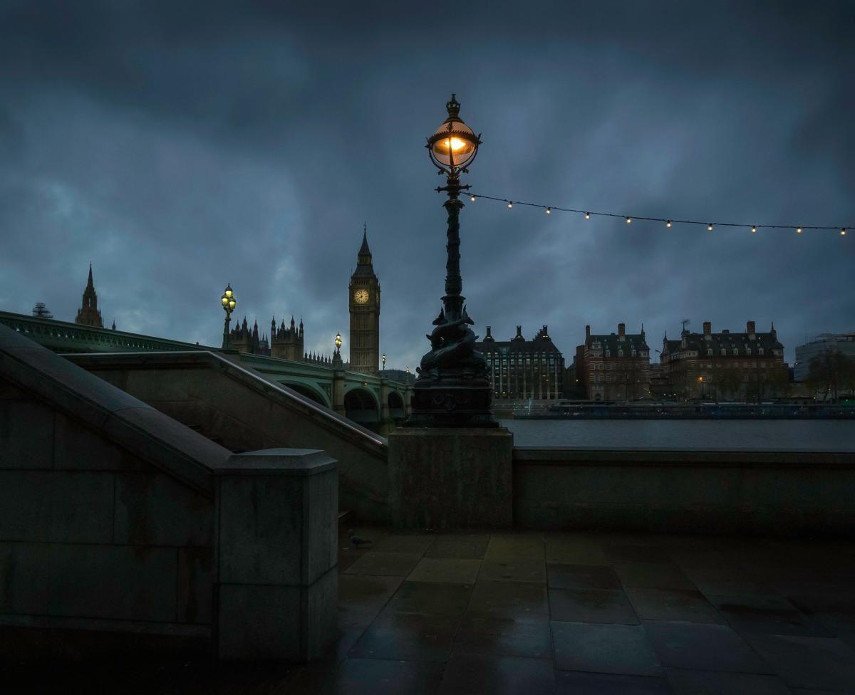 Ecology in Parliament and the news - January 2021