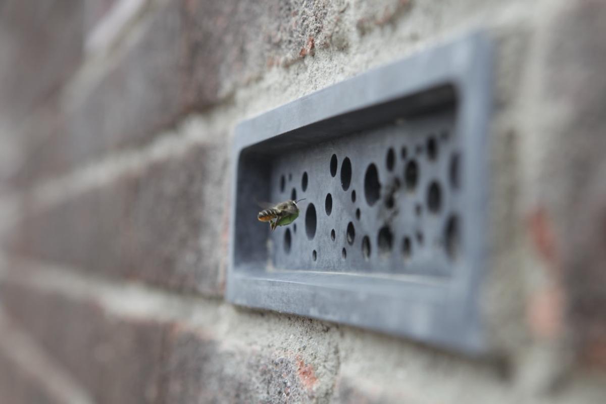 Building with Bees - Our Favourite Bee Habitats for Buildings