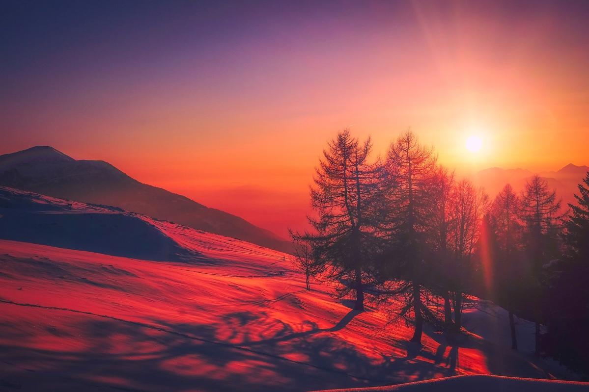 One winters day - the sleepy and the active