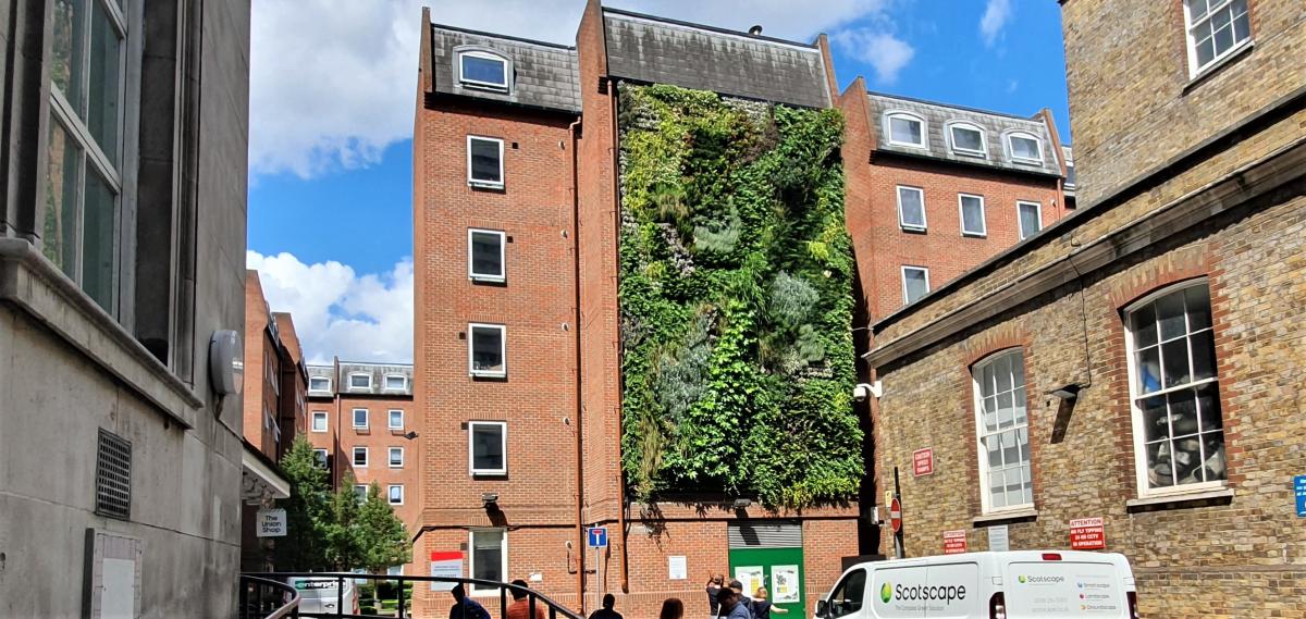 Professional Voices: Smart Horticulture and Supporting Wildlife