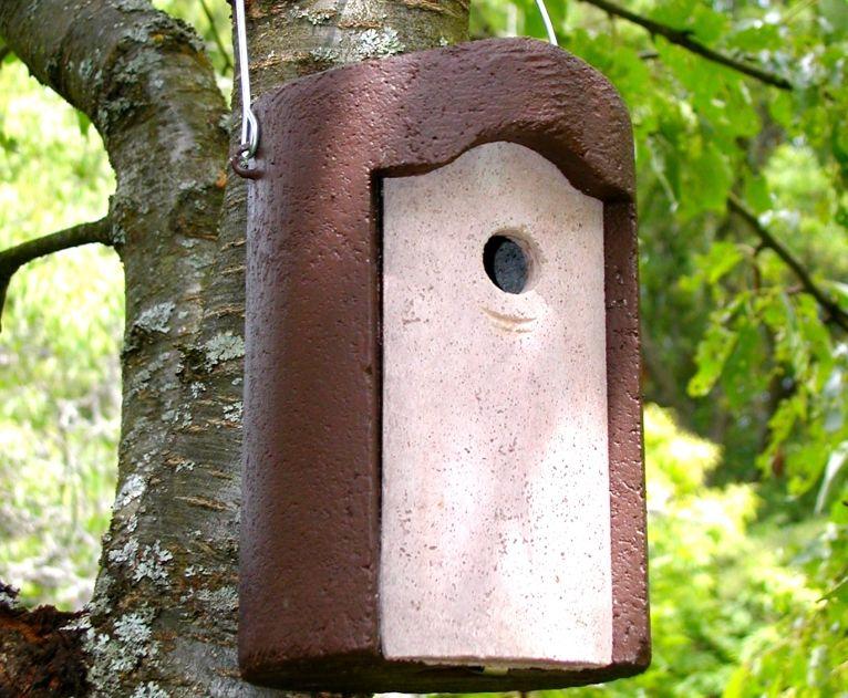Bird Boxes
