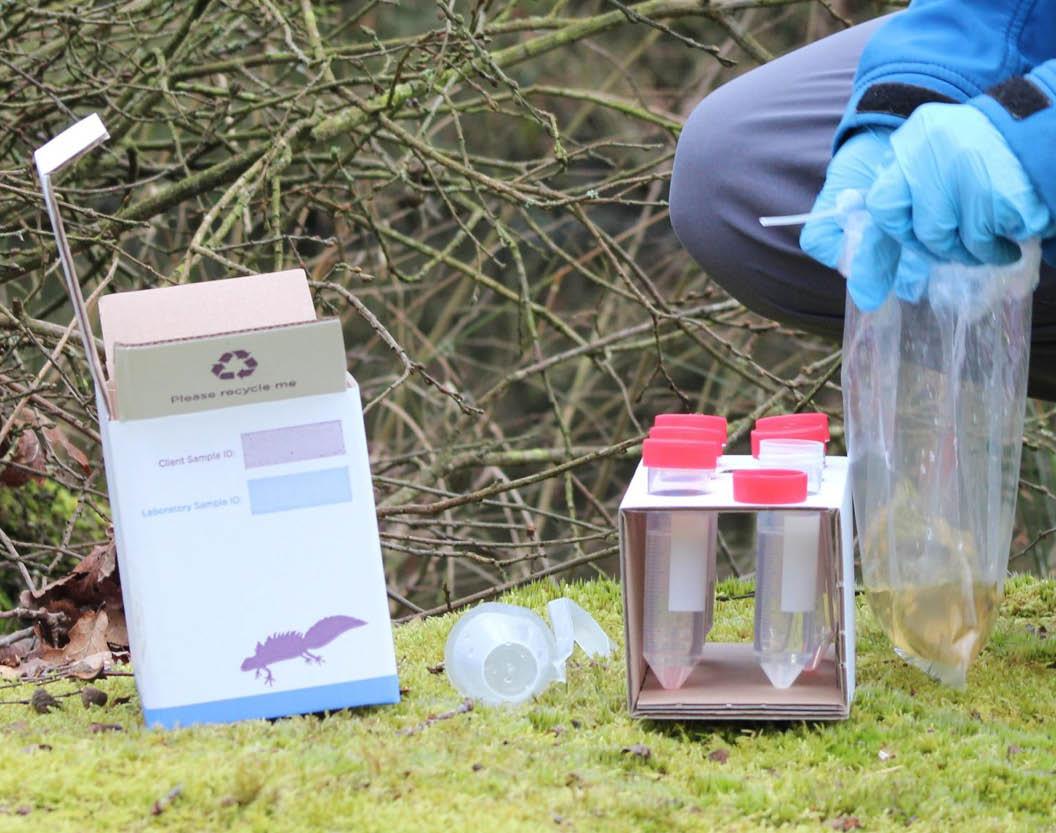 Great Crested Newt eDNA FAQs