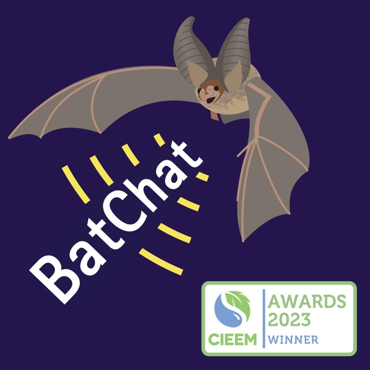 BatChat Podcast - An interview with Steve Roe