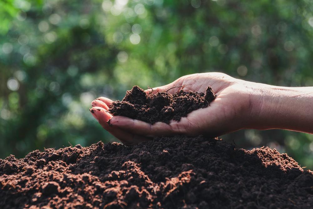 World Soil Day - underneath your feet