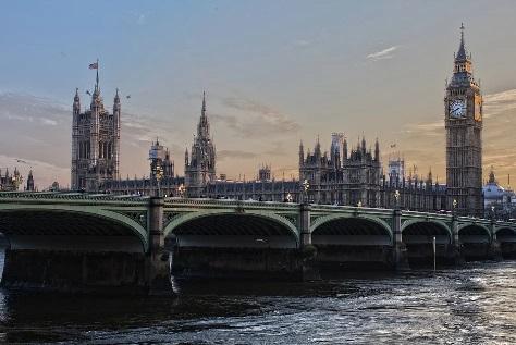 Ecology in Parliament and the news - August 2020