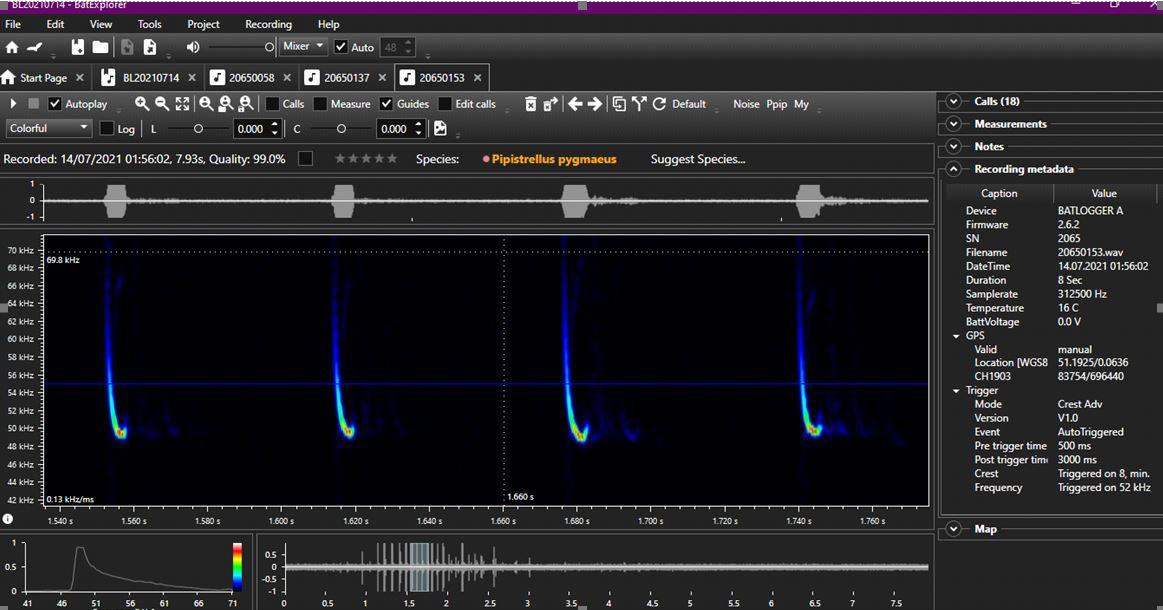 Real Life Stories: Discovering Handheld Bat Detectors with Peter Gibb