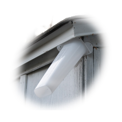 What Is Bat Exclusion?