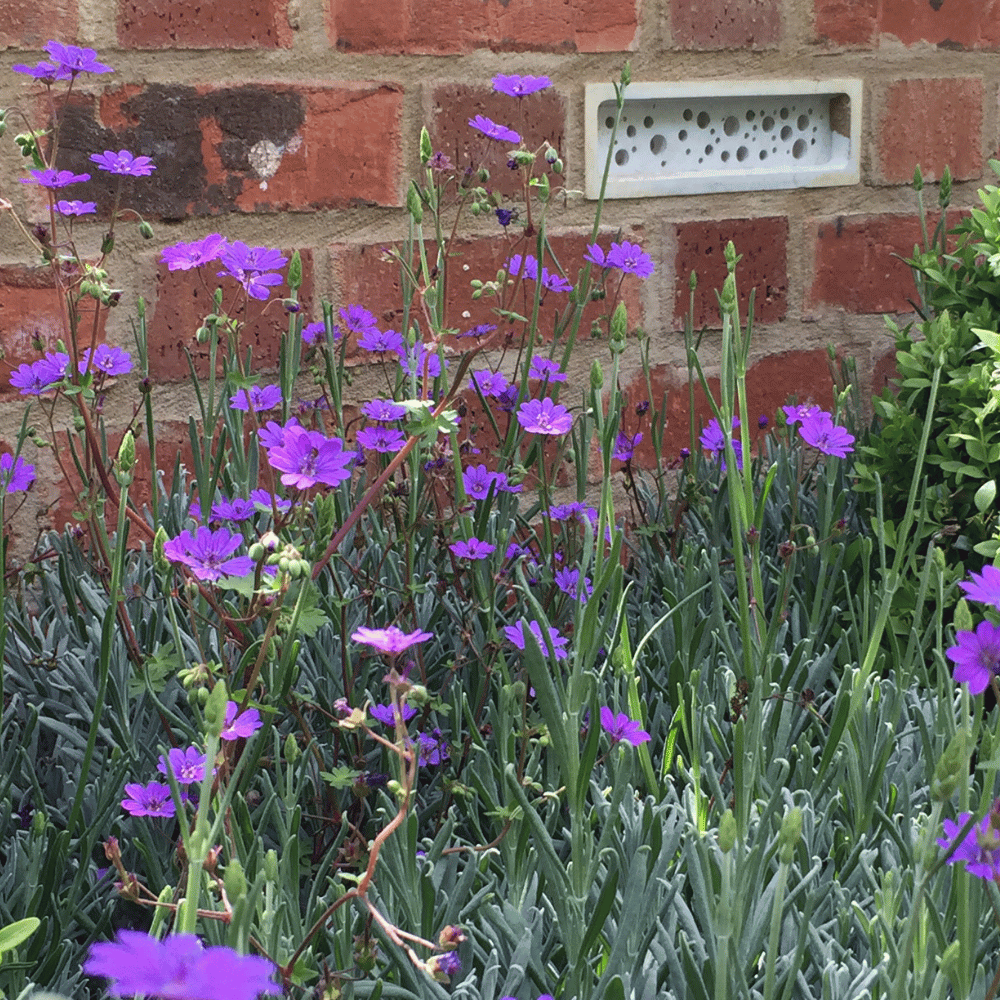 Bee Brick