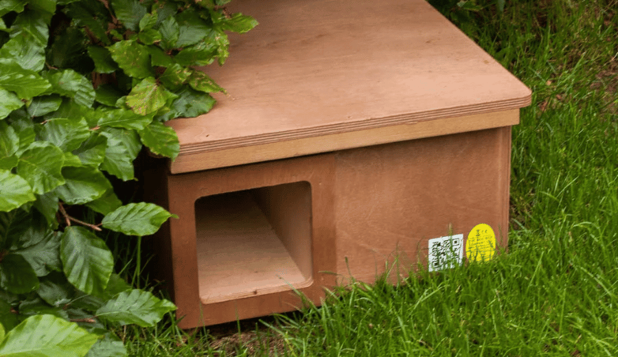 Hedgehog box installation guide