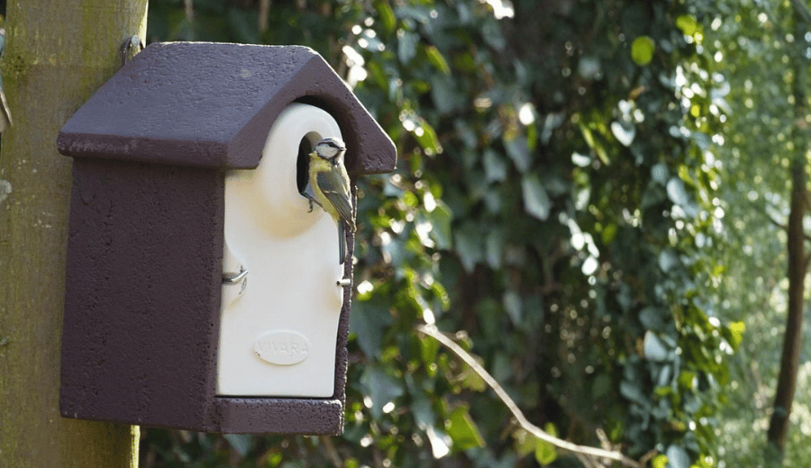 Bird box installation guide