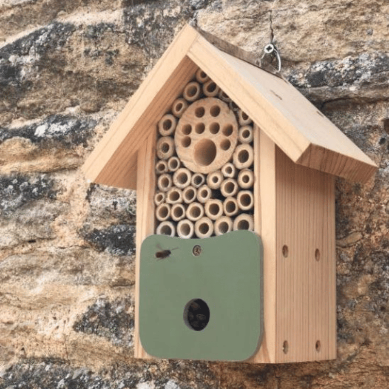 Insect habitats