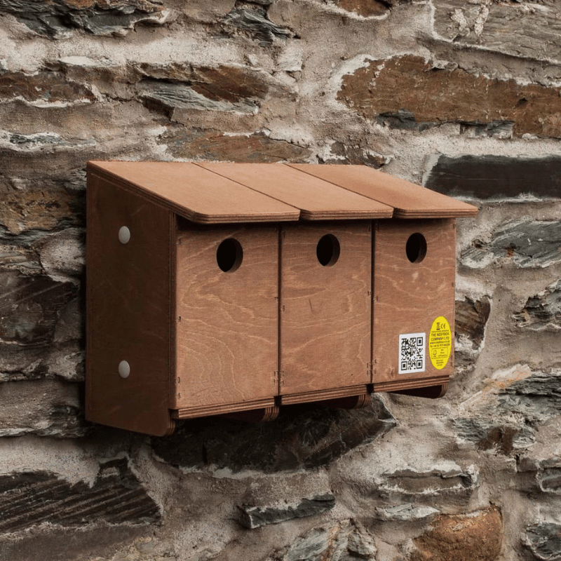 Sparrow boxes and terraces