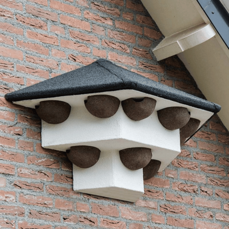 House martin and swallow boxes