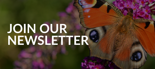 Join our Newsletter