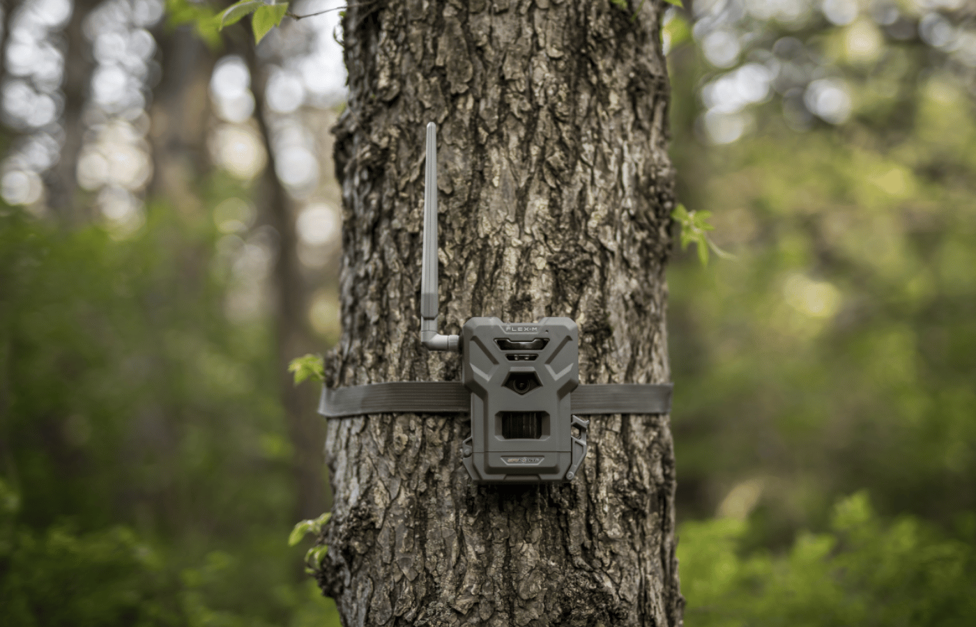 Trail Cameras