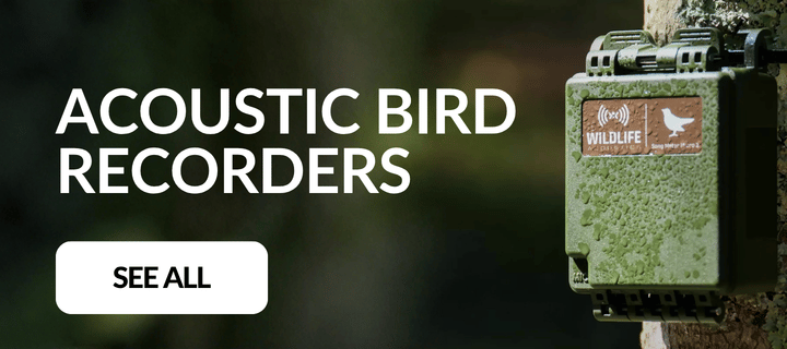 Acoustic Recorders