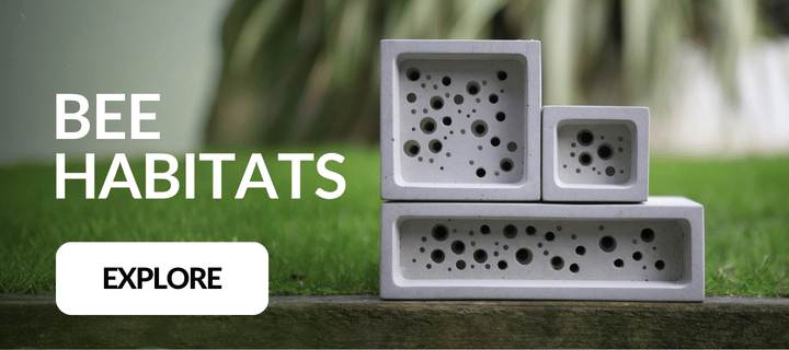 Bee Habitats