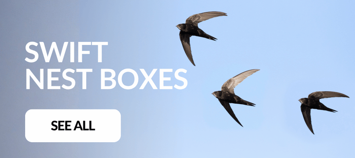 Swift Nest Boxes